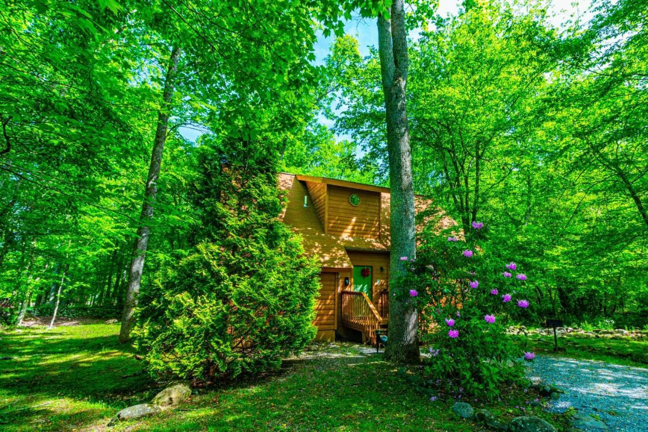 Bear Footin' On The Creek Villa Gatlinburg Exterior photo
