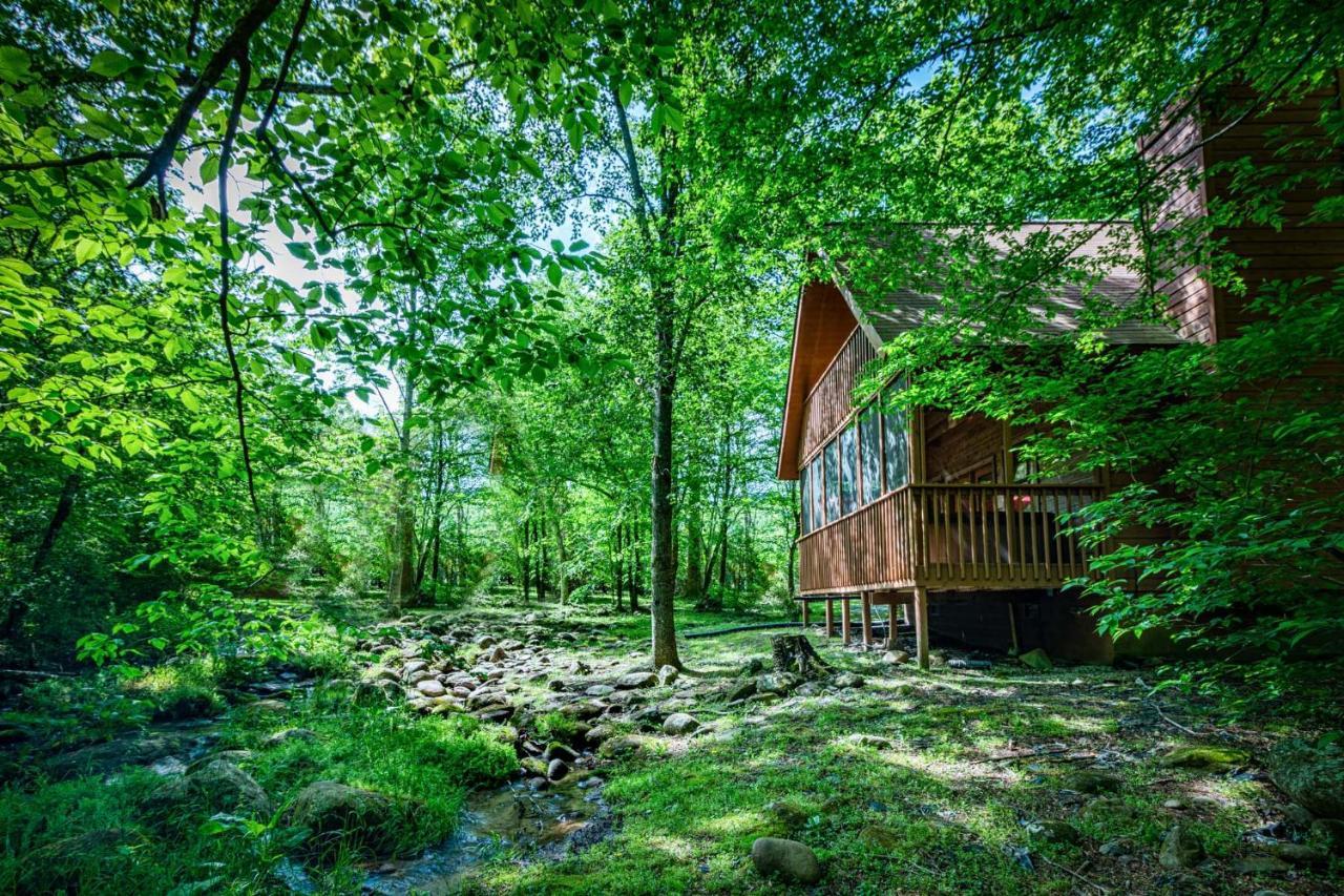 Bear Footin' On The Creek Villa Gatlinburg Exterior photo