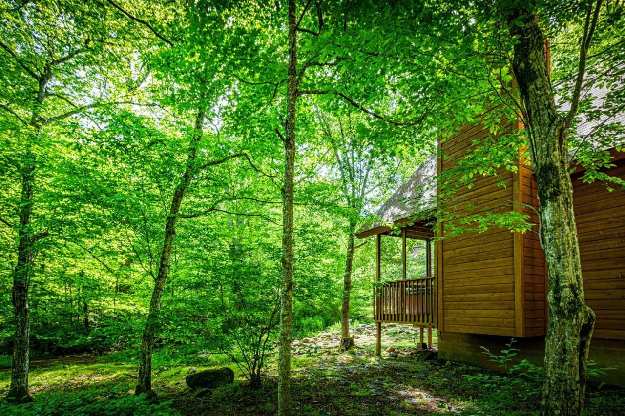 Bear Footin' On The Creek Villa Gatlinburg Exterior photo